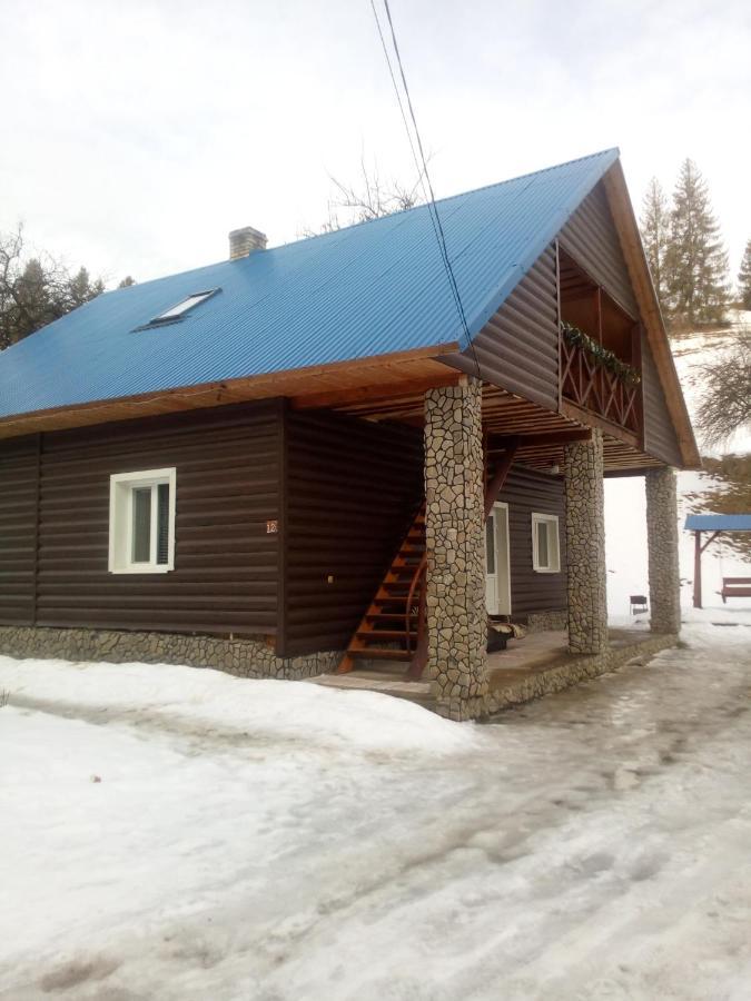 "Відпочинок В Карпатах" Villa Izki Bagian luar foto