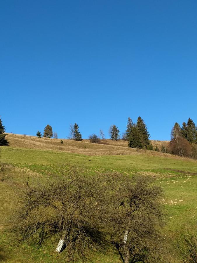 "Відпочинок В Карпатах" Villa Izki Bagian luar foto