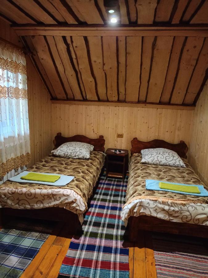 "Відпочинок В Карпатах" Villa Izki Bagian luar foto